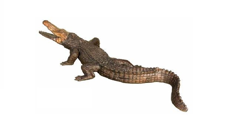 Bronze Giant Crocodile